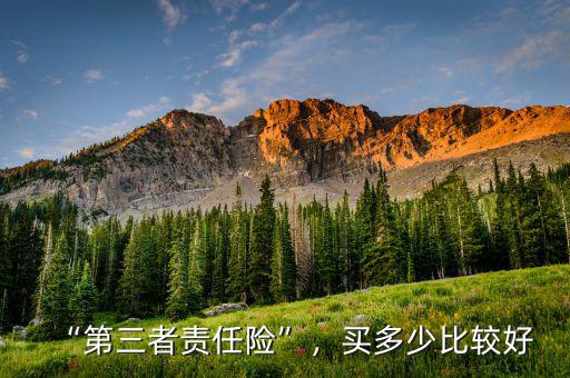 “第三者責任險”，買多少比較好