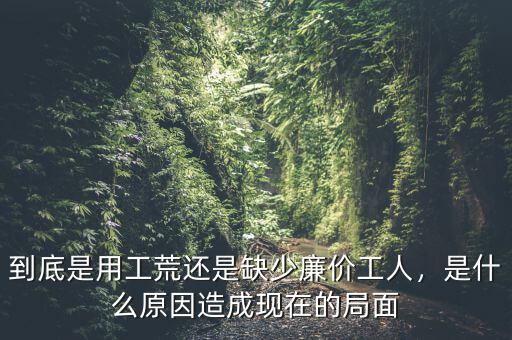 到底是用工荒還是缺少廉價(jià)工人，是什么原因造成現(xiàn)在的局面