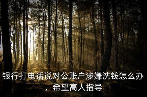 銀行打電話說對(duì)公賬戶涉嫌洗錢怎么辦，希望高人指導(dǎo)