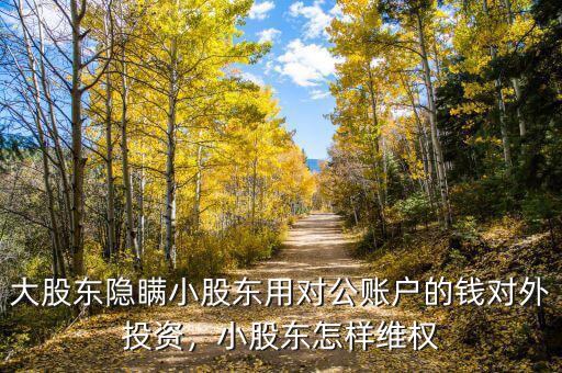 大股東隱瞞小股東用對公賬戶的錢對外投資，小股東怎樣維權(quán)