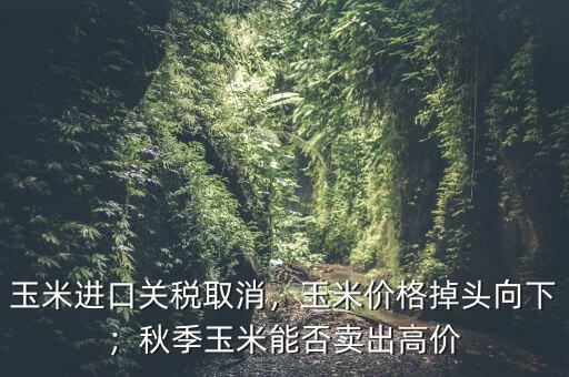 玉米進口關(guān)稅取消，玉米價格掉頭向下；秋季玉米能否賣出高價