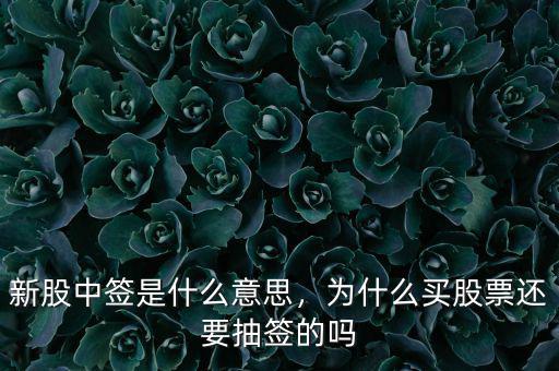 新股中簽是什么意思，為什么買股票還要抽簽的嗎