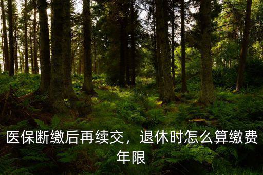 醫(yī)保斷繳后再續(xù)交，退休時怎么算繳費年限