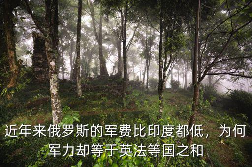 近年來俄羅斯的軍費(fèi)比印度都低，為何軍力卻等于英法等國之和