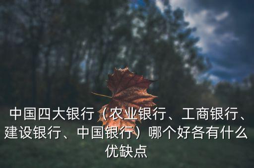 中國(guó)四大銀行（農(nóng)業(yè)銀行、工商銀行、建設(shè)銀行、中國(guó)銀行）哪個(gè)好各有什么優(yōu)缺點(diǎn)