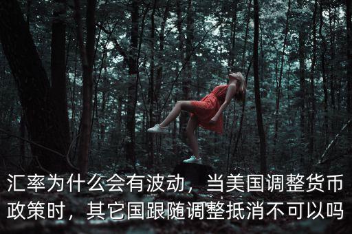 匯率為什么會(huì)有波動(dòng)，當(dāng)美國(guó)調(diào)整貨幣政策時(shí)，其它國(guó)跟隨調(diào)整抵消不可以嗎