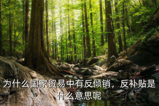 什么是反傾銷國(guó)家,是什么意思呢