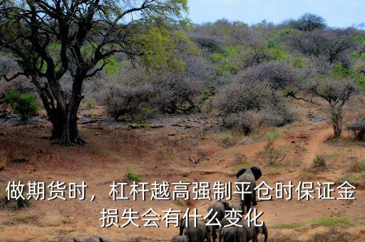 做期貨時，杠桿越高強(qiáng)制平倉時保證金損失會有什么變化