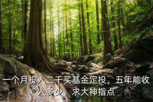 一個月投入二千買基金定投，五年能收入多少，求大神指點