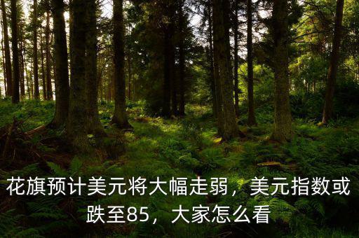 花旗預計美元將大幅走弱，美元指數(shù)或跌至85，大家怎么看