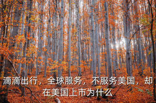 滴滴出行，全球服務(wù)，不服務(wù)美國(guó)，卻在美國(guó)上市為什么
