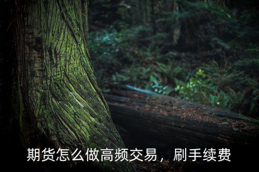 期貨怎么做高頻交易，刷手續(xù)費(fèi)