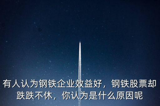 有人認(rèn)為鋼鐵企業(yè)效益好，鋼鐵股票卻跌跌不休，你認(rèn)為是什么原因呢