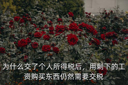 為什么交了個(gè)人所得稅后，用剩下的工資購買東西仍然需要交稅