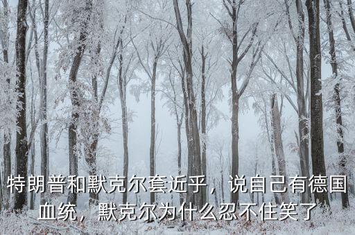 特朗普和默克爾套近乎，說自己有德國血統(tǒng)，默克爾為什么忍不住笑了