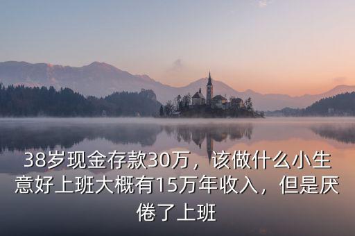 38歲現(xiàn)金存款30萬(wàn)，該做什么小生意好上班大概有15萬(wàn)年收入，但是厭倦了上班