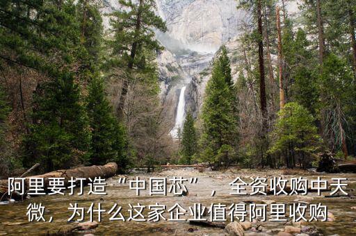 阿里要打造“中國芯”，全資收購中天微，為什么這家企業(yè)值得阿里收購