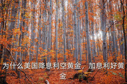 為什么美國降息利空黃金，加息利好黃金
