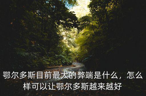 鄂爾多斯目前最大的弊端是什么，怎么樣可以讓鄂爾多斯越來越好