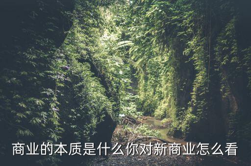 商業(yè)的本質(zhì)是什么你對新商業(yè)怎么看