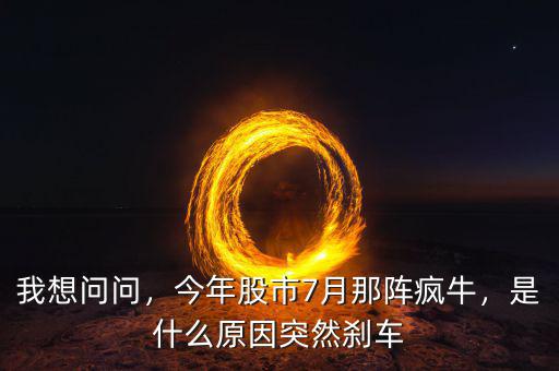 我想問(wèn)問(wèn)，今年股市7月那陣瘋牛，是什么原因突然剎車