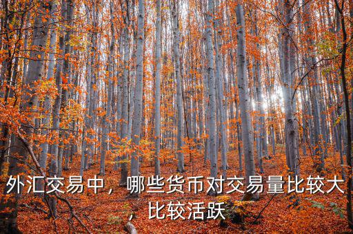 外匯交易中，哪些貨幣對交易量比較大，比較活躍