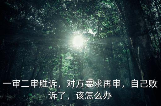 一審二審勝訴，對方要求再審，自己敗訴了，該怎么辦
