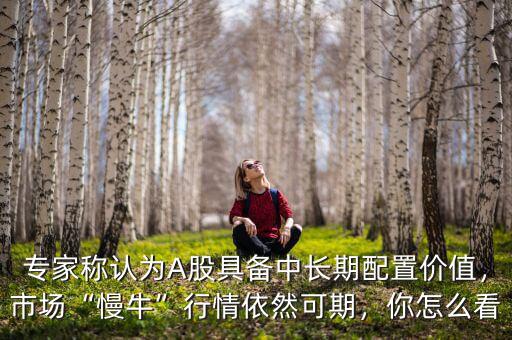 專家稱認(rèn)為A股具備中長期配置價(jià)值，市場(chǎng)“慢?！毙星橐廊豢善?，你怎么看