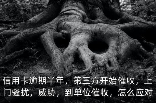 信用卡逾期半年，第三方開(kāi)始催收，上門(mén)騷擾，威脅，到單位催收，怎么應(yīng)對(duì)