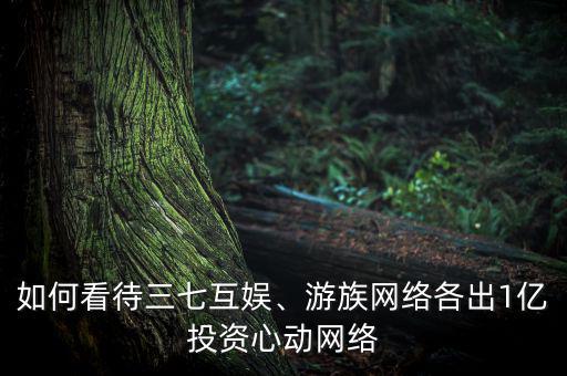 如何看待三七互娛、游族網(wǎng)絡(luò)各出1億投資心動(dòng)網(wǎng)絡(luò)