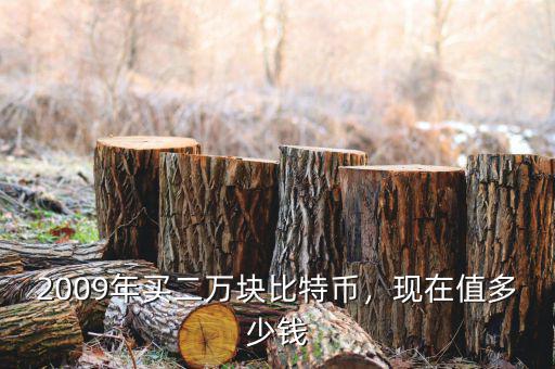 2009年買二萬塊比特幣，現(xiàn)在值多少錢