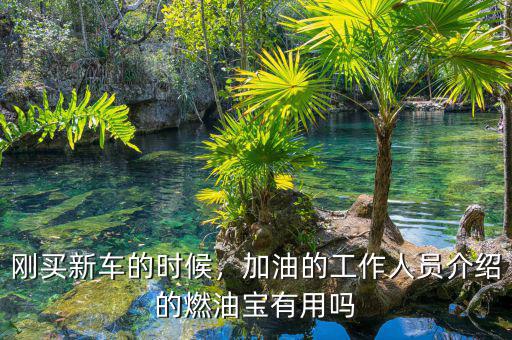 剛買新車的時(shí)候，加油的工作人員介紹的燃油寶有用嗎