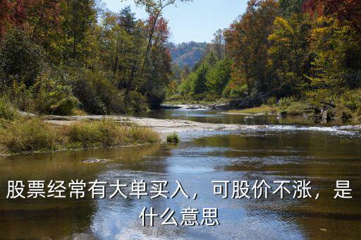 股票經(jīng)常有大單買入，可股價(jià)不漲，是什么意思