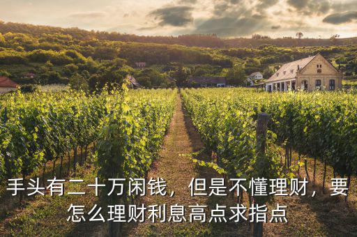 手頭有二十萬閑錢，但是不懂理財，要怎么理財利息高點求指點