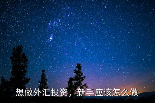想做外匯投資，新手應該怎么做