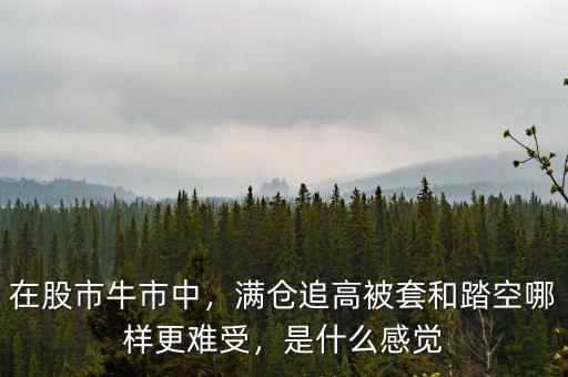 在股市牛市中，滿倉(cāng)追高被套和踏空哪樣更難受，是什么感覺