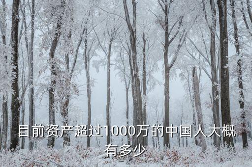 目前資產(chǎn)超過1000萬(wàn)的中國(guó)人大概有多少