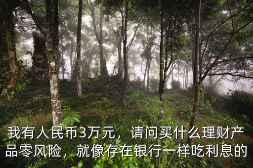 我有人民幣3萬元，請問買什么理財產(chǎn)品零風(fēng)險，就像存在銀行一樣吃利息的