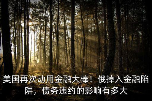 美國再次動用金融大棒！俄掉入金融陷阱，債務(wù)違約的影響有多大