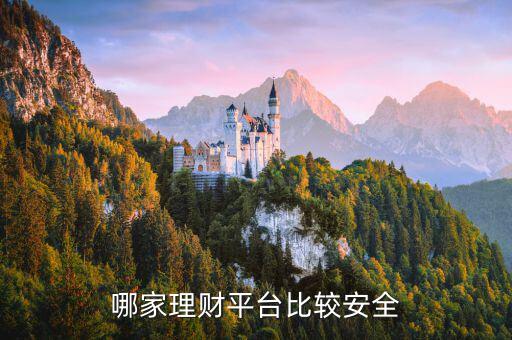 哪家理財(cái)平臺比較安全