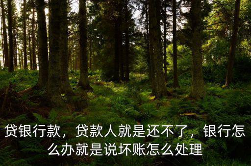 貸銀行款，貸款人就是還不了，銀行怎么辦就是說(shuō)壞賬怎么處理