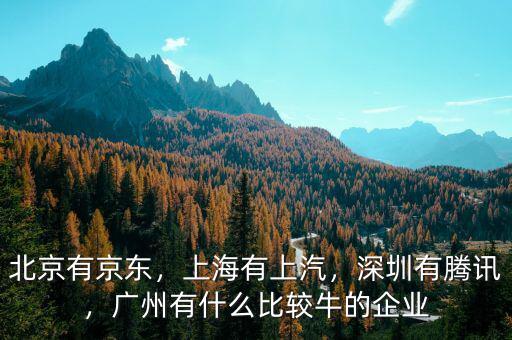 北京有京東，上海有上汽，深圳有騰訊，廣州有什么比較牛的企業(yè)