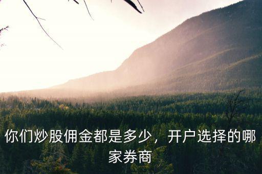 你們炒股傭金都是多少，開戶選擇的哪家券商