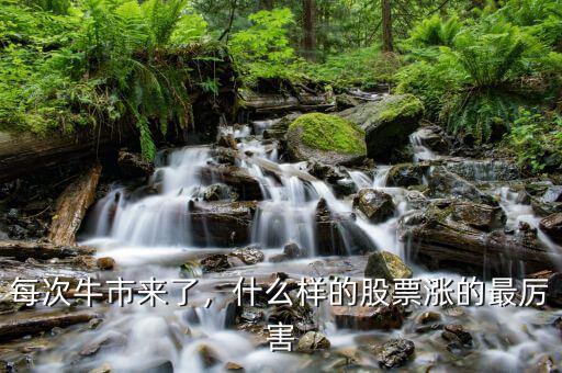 每次牛市來了，什么樣的股票漲的最厲害