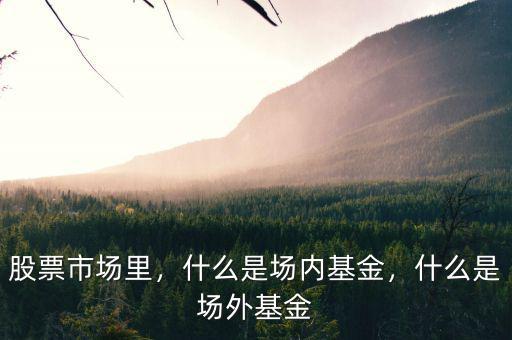 股票市場里，什么是場內(nèi)基金，什么是場外基金