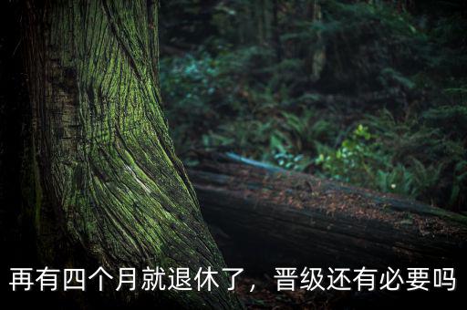 再有四個(gè)月就退休了，晉級(jí)還有必要嗎