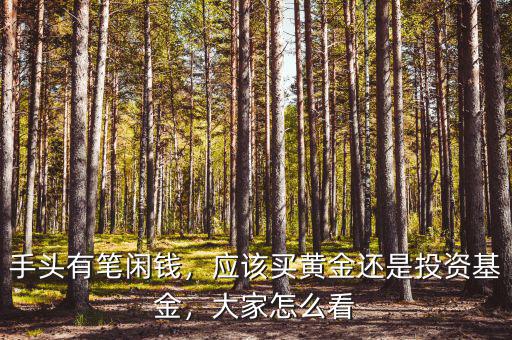 手頭有筆閑錢，應(yīng)該買黃金還是投資基金，大家怎么看