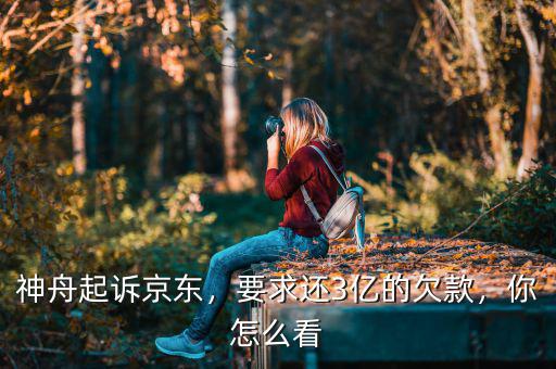 神舟起訴京東，要求還3億的欠款，你怎么看