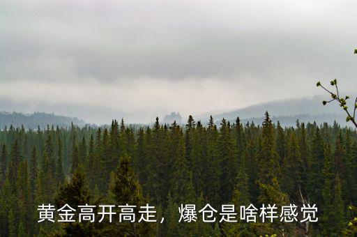 黃金高開高走，爆倉是啥樣感覺