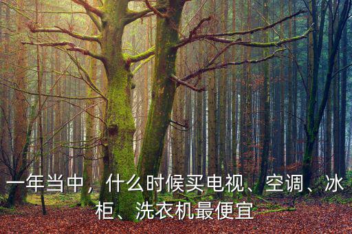 一年當(dāng)中，什么時(shí)候買(mǎi)電視、空調(diào)、冰柜、洗衣機(jī)最便宜